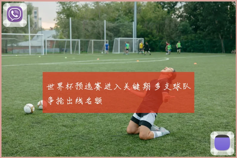 世界杯预选赛进入关键期 多支球队争抢出线名额