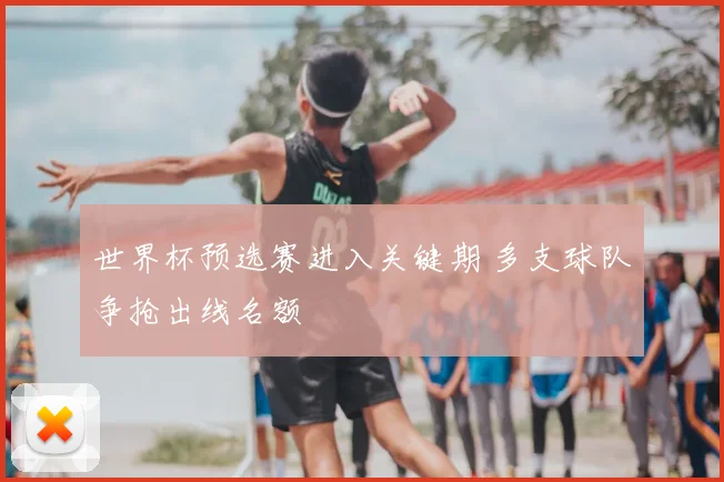 世界杯预选赛进入关键期 多支球队争抢出线名额
