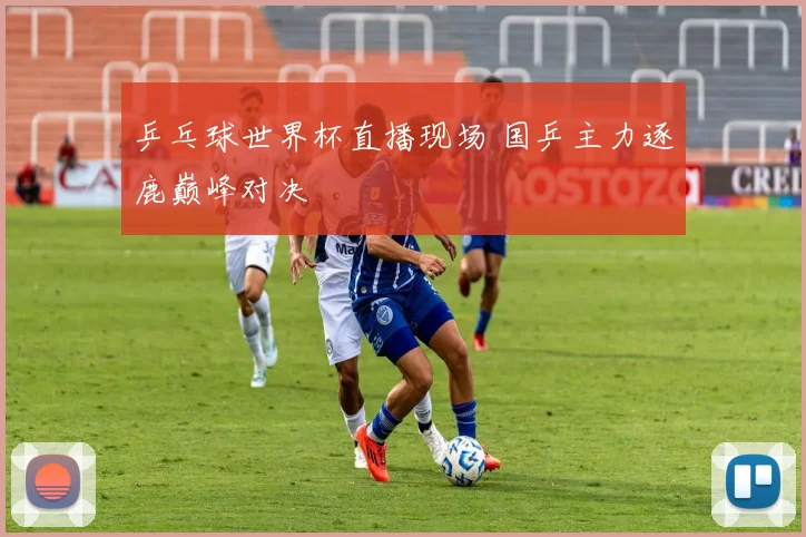 乒乓球世界杯直播现场 国乒主力逐鹿巅峰对决