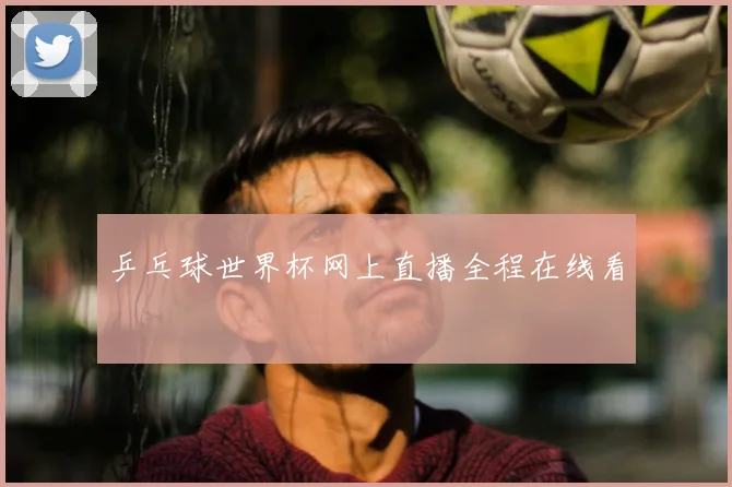 乒乓球世界杯网上直播全程在线看