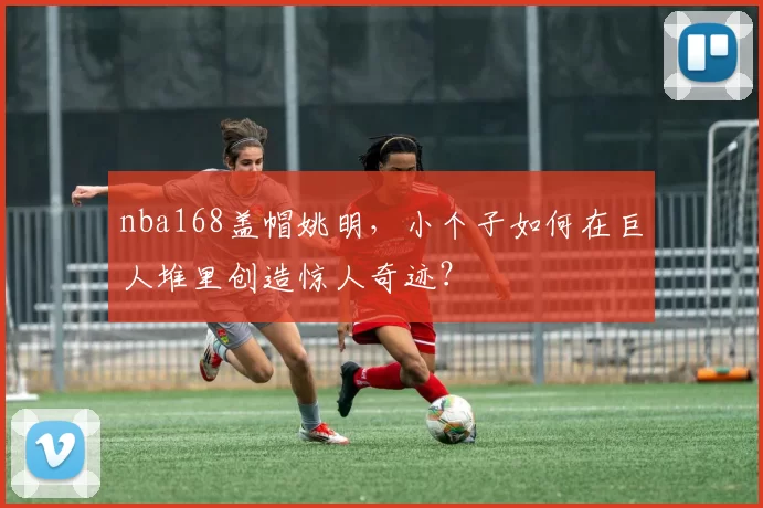 nba168盖帽姚明，小个子如何在巨人堆里创造惊人奇迹？