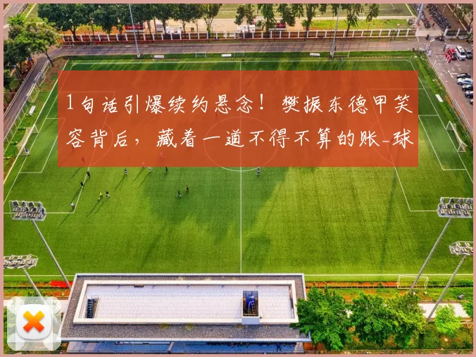 1句话引爆续约悬念!樊振东德甲笑容背后,藏着一道不得不算的账_球迷_国乒_波尔